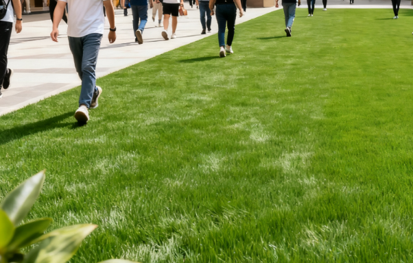 1761472573904495.png 仿真草坪