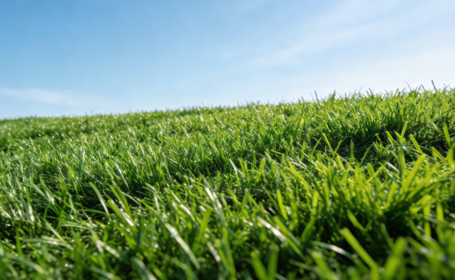 1770986846669903.png 仿真草坪