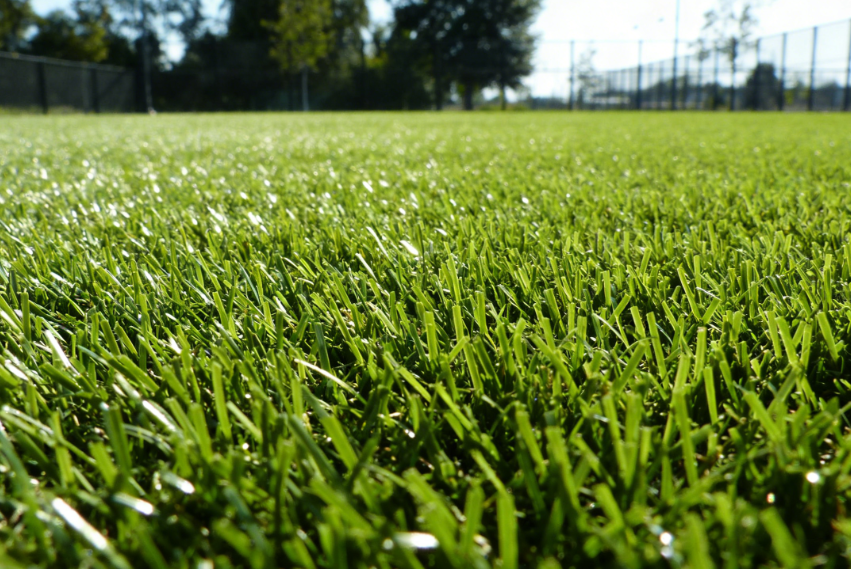 1772188566127953.png 仿真草坪