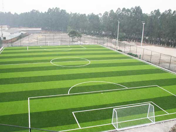 足球场地草坪