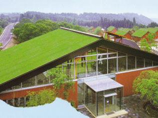 屋顶绿化系统