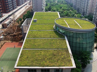 屋顶绿化成本