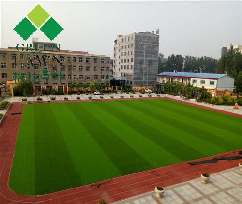 开封通许县学校景观绿化